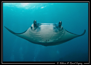 Nice encounter ! by Raoul Caprez 